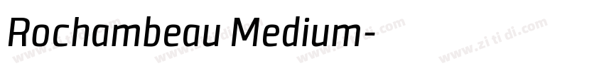 Rochambeau Medium字体转换